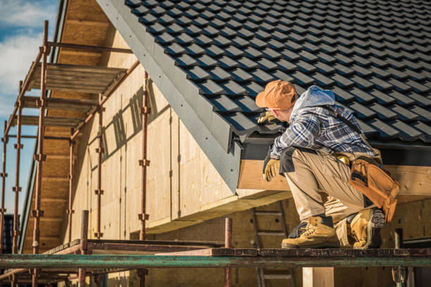 Best Roof Moss and Algae Removal  in Oak Grove, OR